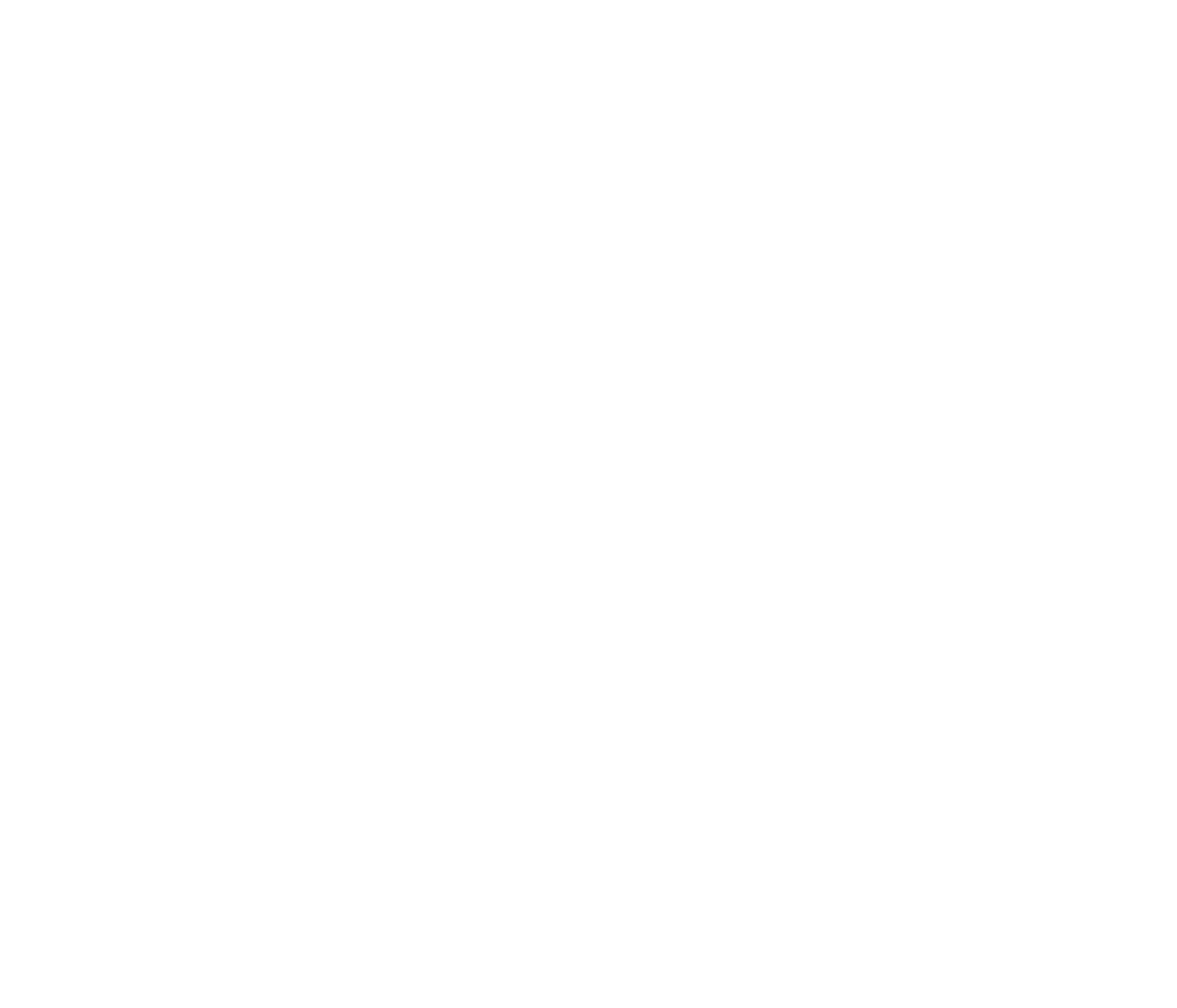 Pro Chef Revolution